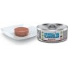 Farmina Vet Life cat hepatic konzerva 85 g