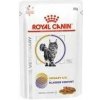 Royal Canin VHN Cat CA Urinary S/O Bladder Comfort 12x85 g