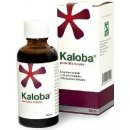 Voľne predajný liek Kaloba gtt.por.1 x 50 ml