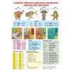 Stručný prehľad anglickej gramatiky (nielen) pre školákov - Kolektív