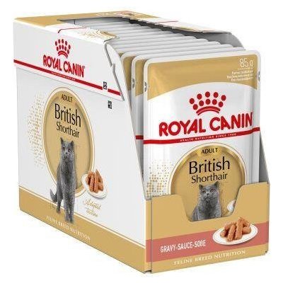 Royal Canin Adult British Shorthair 12 x 85g - vlhké krmivo pre dospelé britské krátkosrsté mačky v omáčke 12x85g
