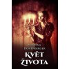 Květ života - Martina Hohenberger