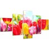 Tulipány - obraz (Obraz 125x70cm)