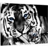 Tiger s mláďaťom, obraz