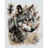 Diamondi Diamantové maľovanie - VLK V LESE Rámovanie: vypnuté plátno na rám, Rozmer: 40x50 cm