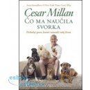 Cesar Millan - Čo ma naučila svorka Cezar Millan a Melissa Jo Peltierová