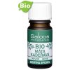 Saloos Éterický olej BIO - Mäta kučeravá 5ml India