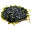 Monosolenium tennerum - Pellia moss