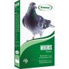 Mikros Holub plv 1kg