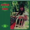 Gilberto Astrud - Now / Japan [CD]