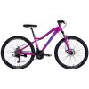 Bicycle AL 26
