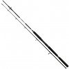Daiwa BG Boat 2,1m 150-400g 2 diely