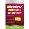 E-kniha Účetnictví pro úplné začátečníky 2013 - Věra Rubáková, Pavel Hrouda