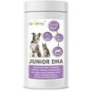 Dromy Junior DHA + 10 % zdarma 700 g
