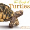 Book of Turtles