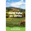 Darth Vader ide SNP-čku