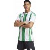 adidas Striped 24 dres IW2148 bílá team zelená