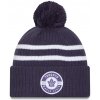 Toronto Maple Leafs NHL New Era Cold Winter