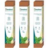 Mätová botanická zubná pasta bez fluoridu Himalaya Complete Care 75 ml
