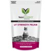 VetriScience UT Strenght podp.moč ciest mačka 90 g