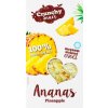 Crunchy Snack mrazom sušený Ananás 20 g