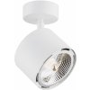 Argon Clevland stropné svietidlo 1x12 W biela 4702BZ