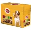 Pedigree kapsa Adult 12pack 100g