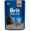 Brit Premium by Nature Cat Pouches Liver for Sterilised 100 g
