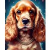 Norimpex diamantové maľovanie Kokeršpaniel so zlatým obojkom 30 x 40cm