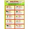 Angličtina karty 2 nepravidelná slovesa - Kupka Petr a kolektiv