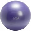 Fitlopta Gymnic Plus 65cm fialová