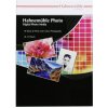 Hahnemühle A4 260 g, 25 listu
