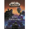 Stíny povstávají - Madeleine Roux