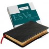 ESV Pitt Minion Reference Bible, Black Goatskin Leather, Red-letter Text, ES446:XR (Baker Publishing Group)(Pevná)