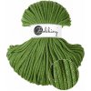 Bobbiny šňůry 5 mm Mechově zelené se zlatou a stříbrnou nitkou (Shiny Moss Green)
