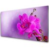 Sklenený obklad Do kuchyne Kvety plátky orchidea 100x50 cm