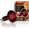 Hagen Infrared Heat Glo 100 W