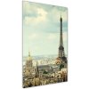 Vertikálny foto obraz fotografie na skle Eiffelová veža Paríž 50x100 cm