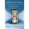 Present Moment in Psychotherapy and Everyday Life (Daniel N Stern)(Pevná)