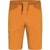 Haglöfs ROC Lite Standard shorts Men