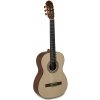 Principio 7/8 gitara Serie P