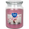 Bispol Aura Maxi Spa Garden 500 g