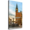 Vertikálny foto obraz na plátne Gdaňsk Poľsko 50x100 cm