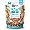 Brit RAW TREAT Skin&Coat Lyofilizovaná pochúťka a topper ryby a kuracie mäso 40 g