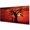 Nástenný panel Stromy oblohy oblačno 100x50 cm