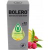 Bolero 8g Zmes na prípravu ľadového zeleného čaju. Súprava zelených ľadových čajov