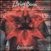 Living Colour - Collideoscope [CD]