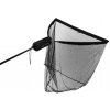 Delphin Armada Carp 100x100cm