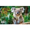 Mláďata Wild life 2026 - stolní kalendář - autor neuvedený