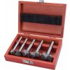 EXTOL PREMIUM frézy-sukovníky do dreva, sada 5ks s SK plátkami, priemery 10-20-25-30-35mm, stopka 8-10mm, 8802030